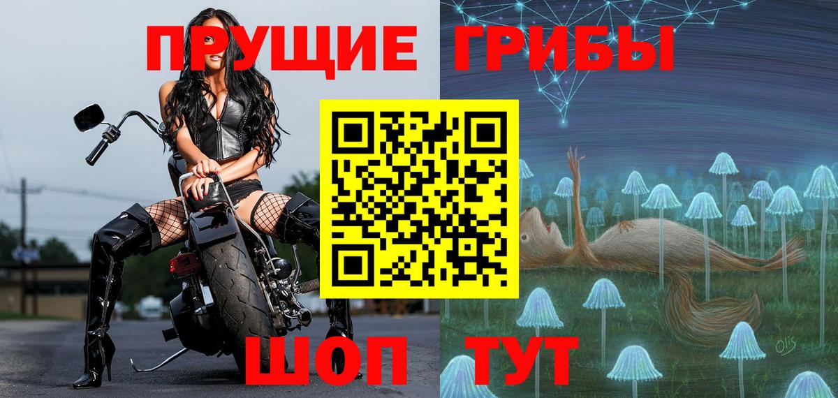 Псилоцибиновые грибы GOLDEN TEACHER  Вход с VPN  Волжск 